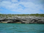 Pleistocene reef, beach, and dunes. Photo taken by Christopher Kendall